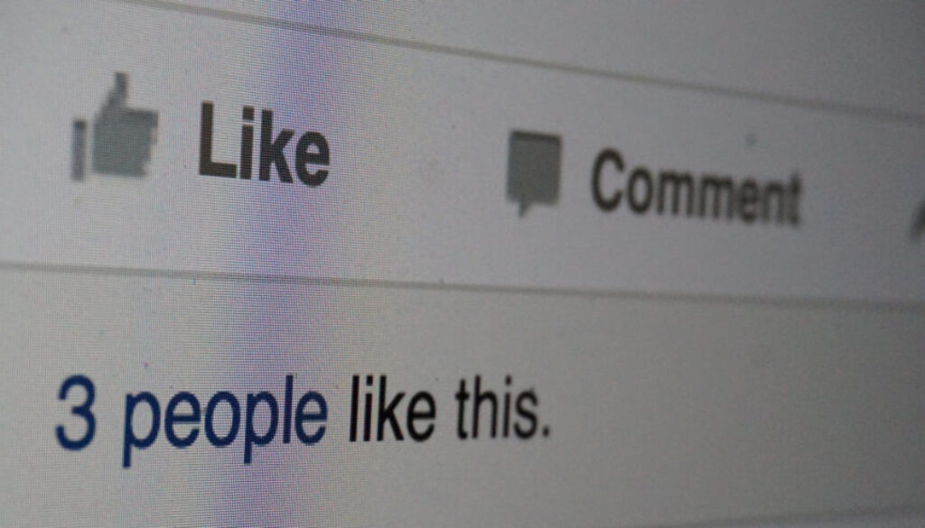Facebook Like Button